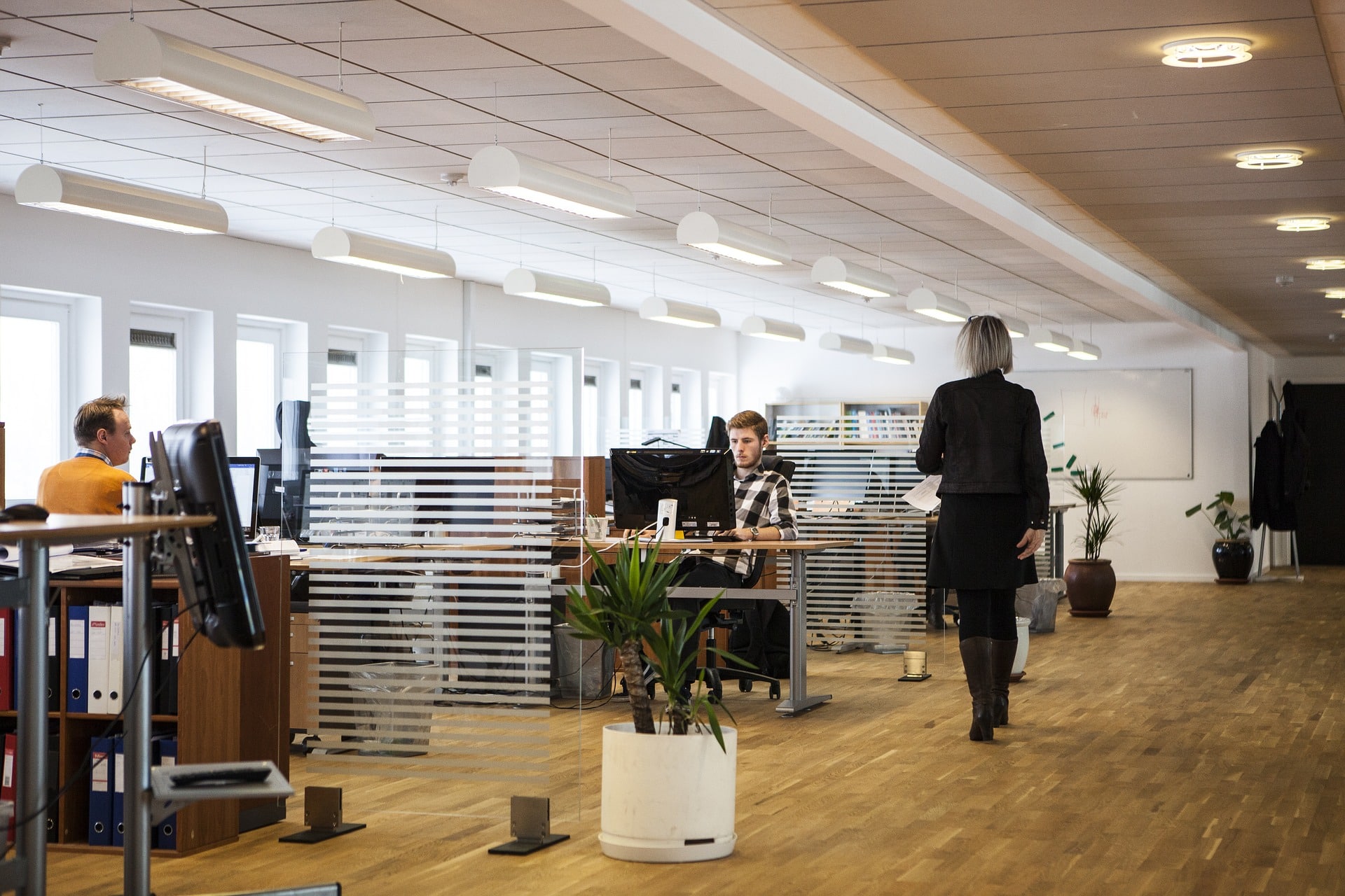 Bureaux d'entreprise en open space